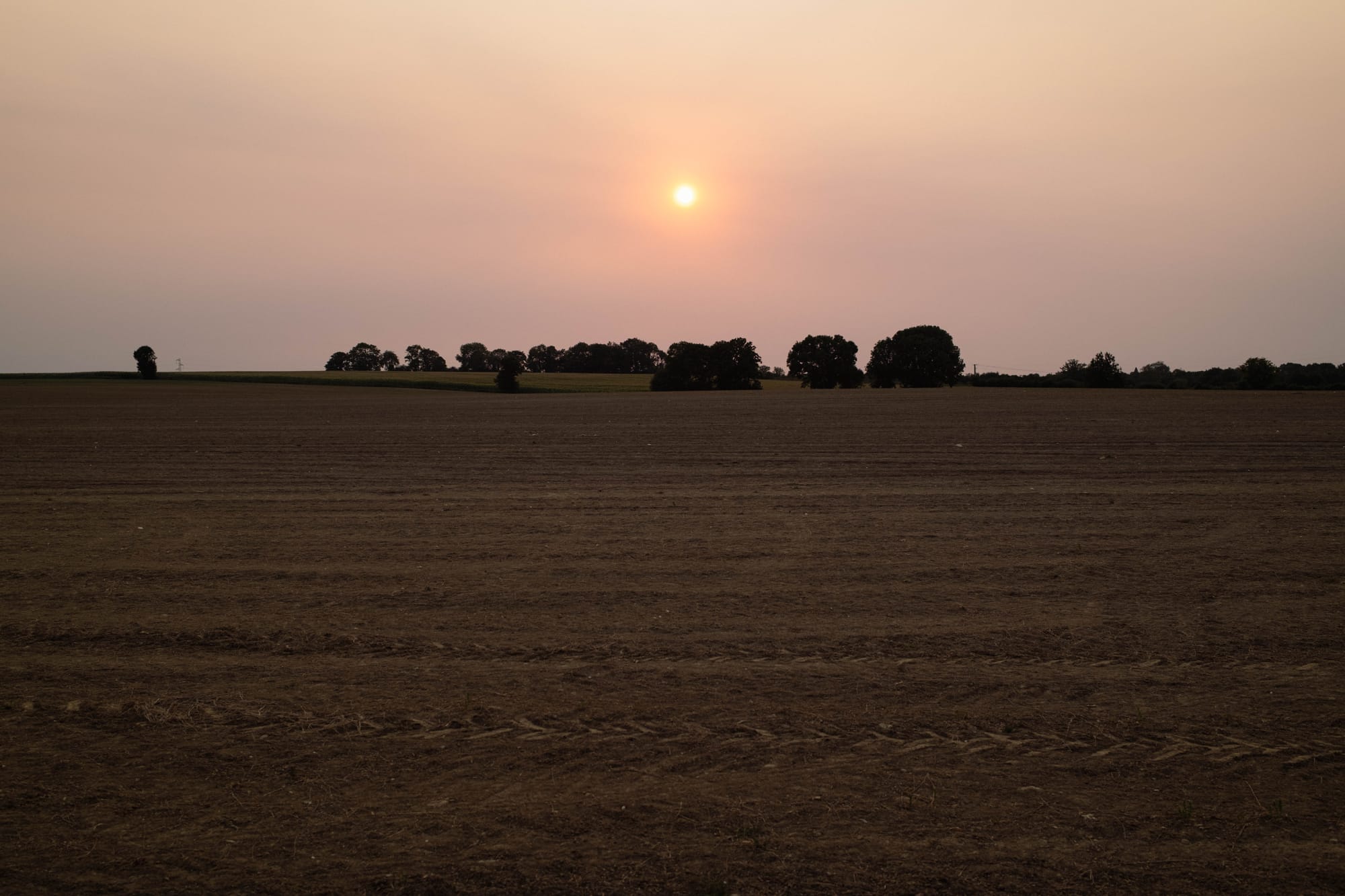 Perche, été 2025